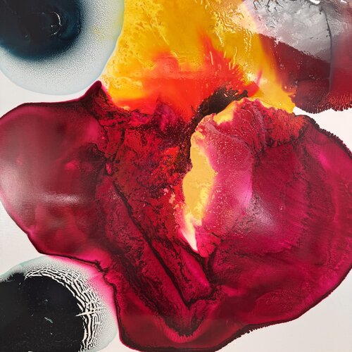 Fleur ouverte van Daniel PAUGAM, Schilderij te koop op Singulart