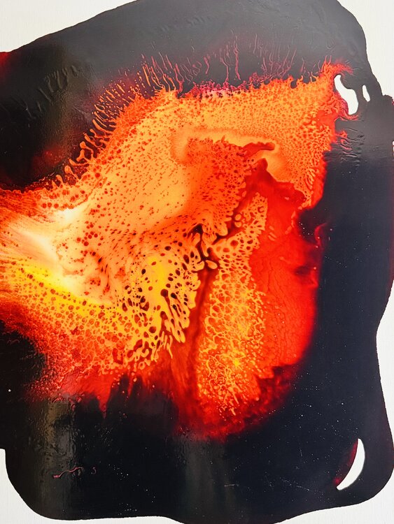 La fleur d’amour Daniel PAUGAM