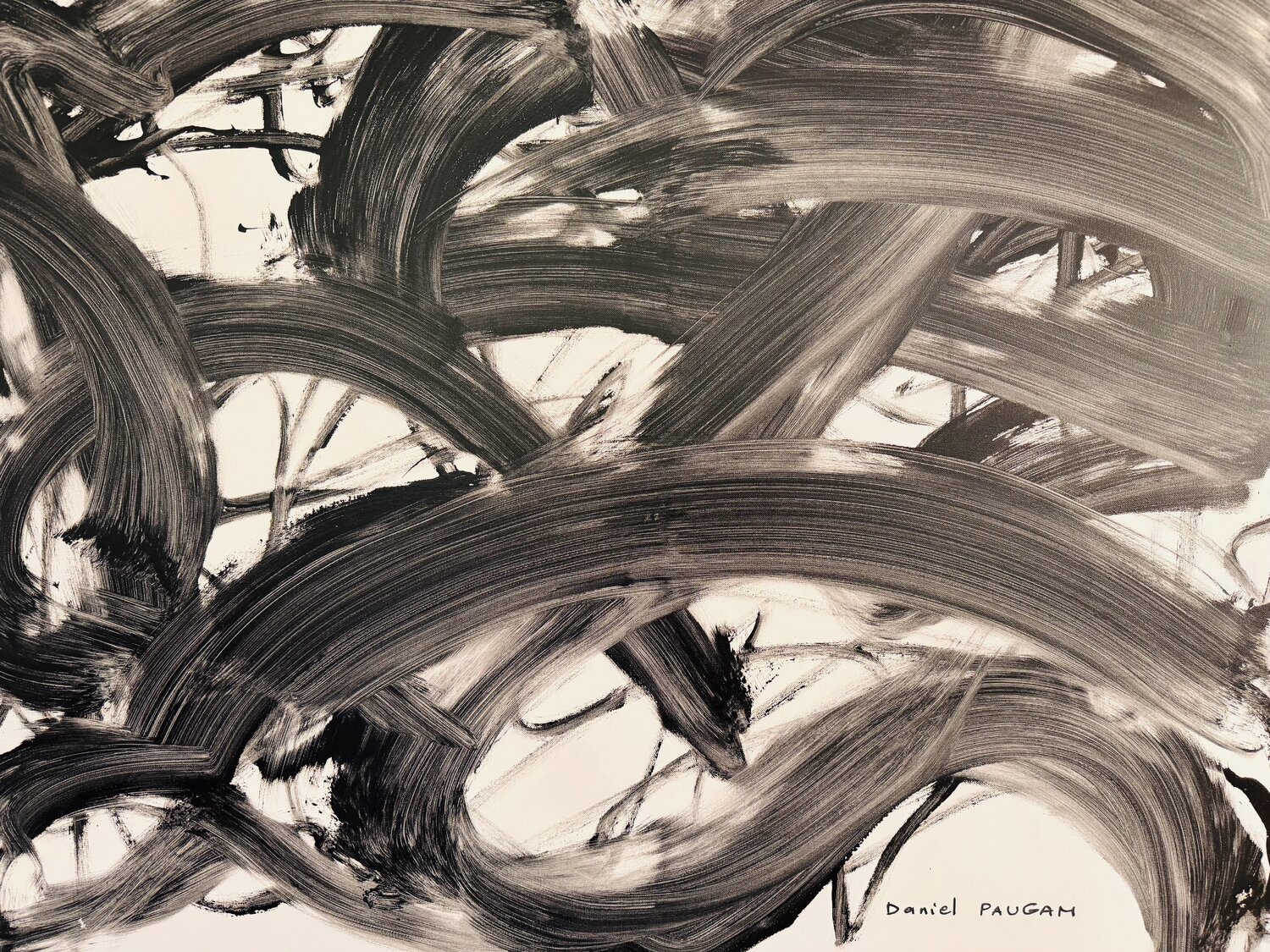 Les arabesques bestiales Daniel PAUGAM