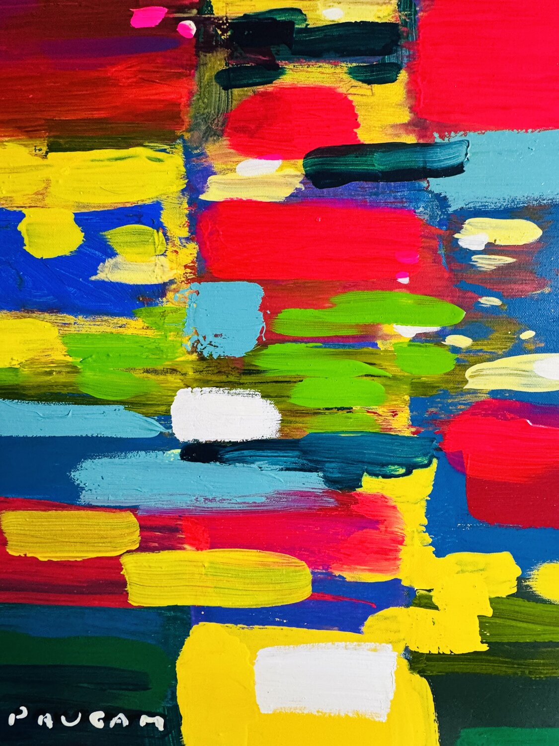 Reflets multicolores Daniel PAUGAM