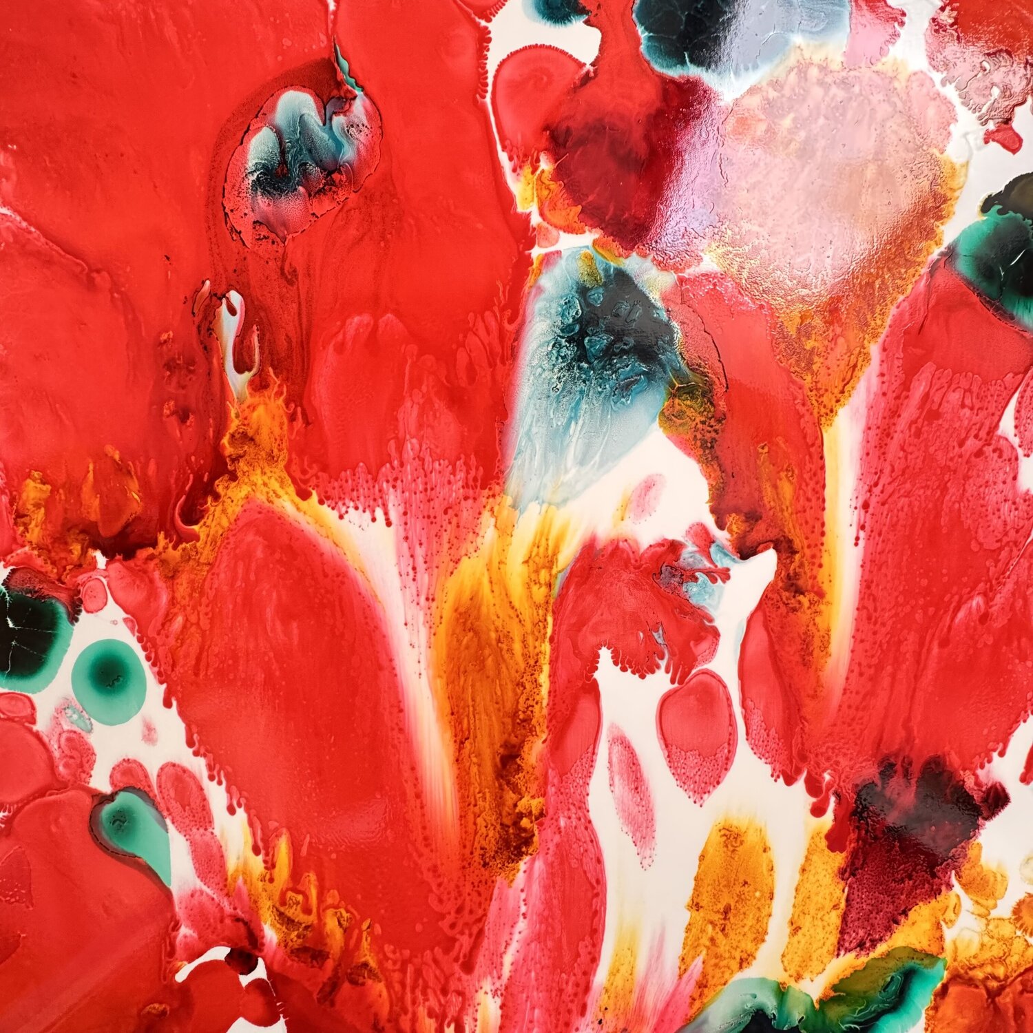 Le bouquet de roses et bleus Daniel PAUGAM
