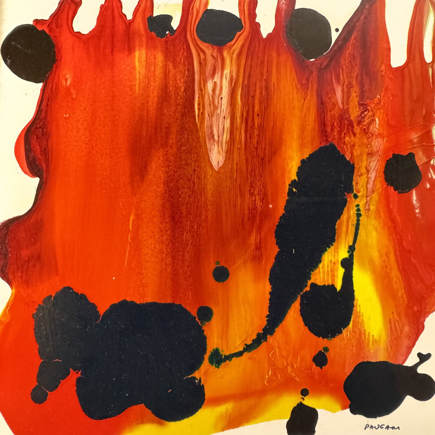 Le feu parfait Daniel PAUGAM