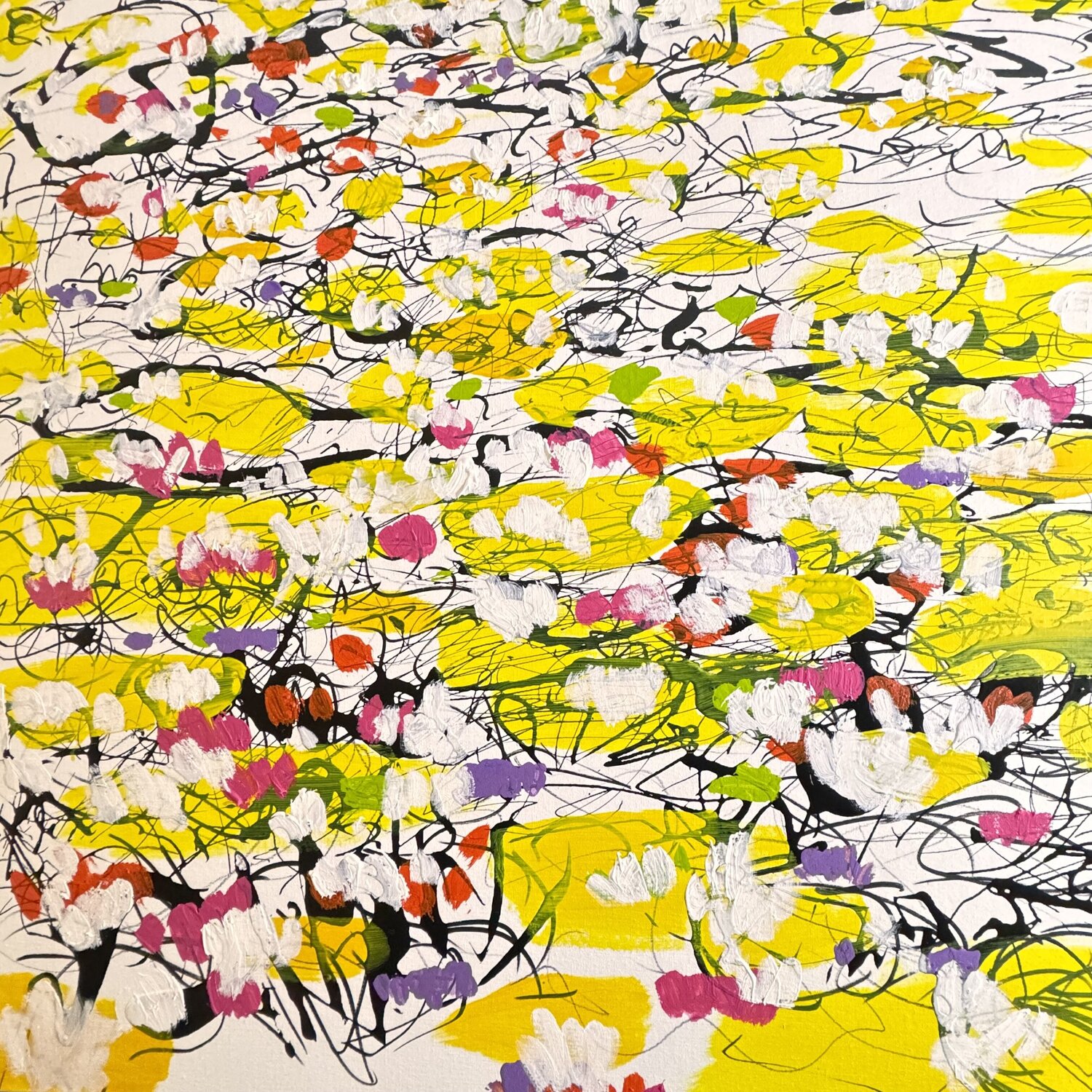 Les nymphéas jaunes 1 Daniel PAUGAM
