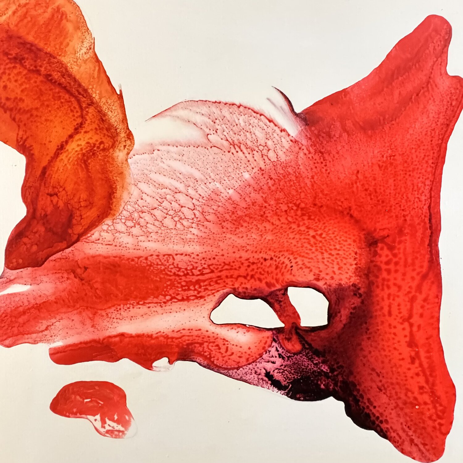 Oeil - pétale Daniel PAUGAM