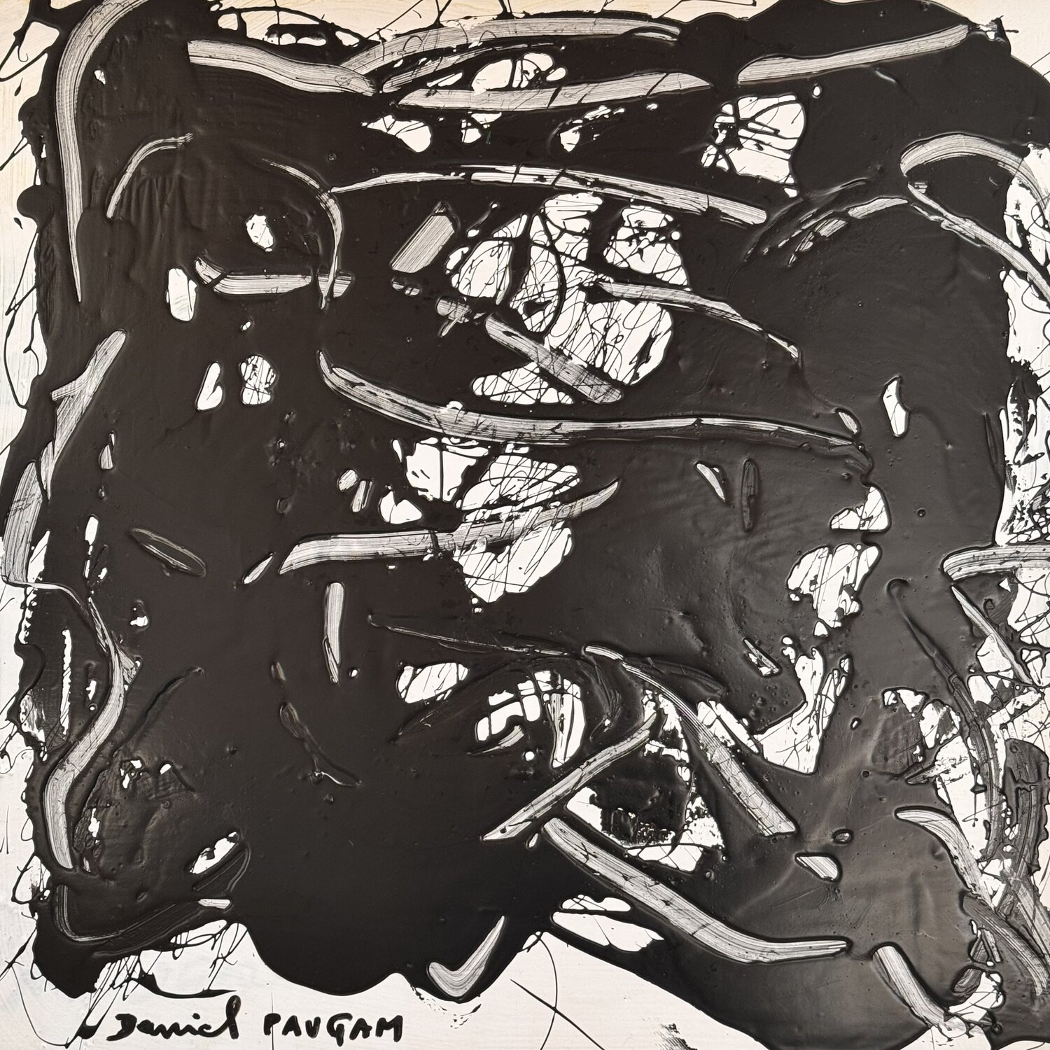 La partie de plaisir 2 Daniel PAUGAM