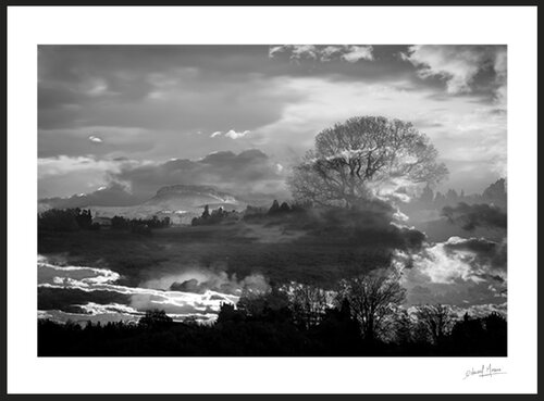Tableau d'automne en noir et blanc Edouard Mazaré