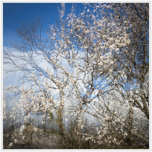 L'équinoxe de printemps - tirage n° 1 / 1 von Edouard Mazaré, Fotografie kaufen auf Singulart