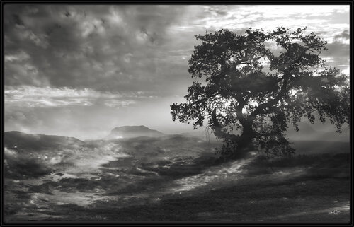 La plaine au petit matin par Edouard Mazaré, Photographie en vente sur Singulart