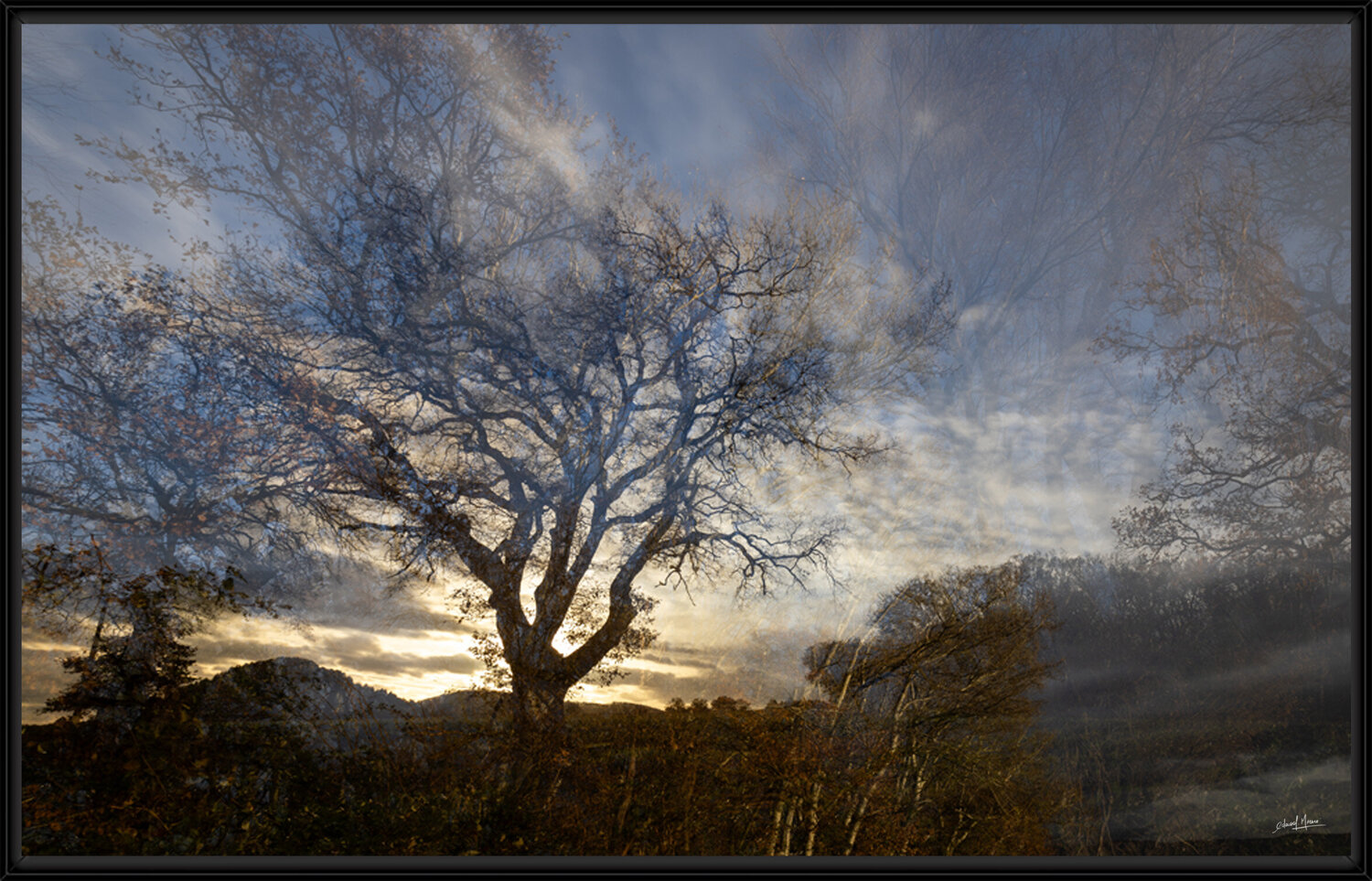 Dernière soirée d'automne Edouard Mazaré Fotografie zu verkaufen
