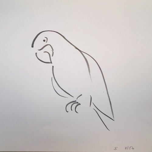 Tuschetier - Papagei van Ines Saalfrank, Tekening te koop op Singulart