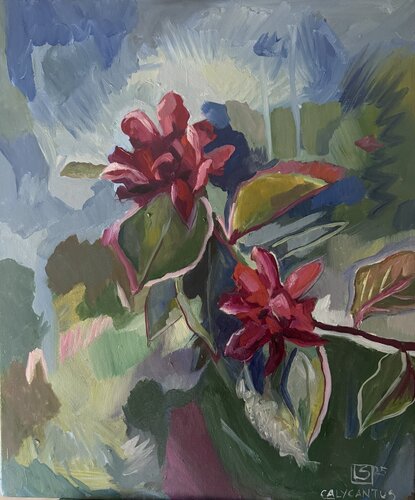 Calycantus di LAURE SAIGNE, Pittura in vendita su Singulart