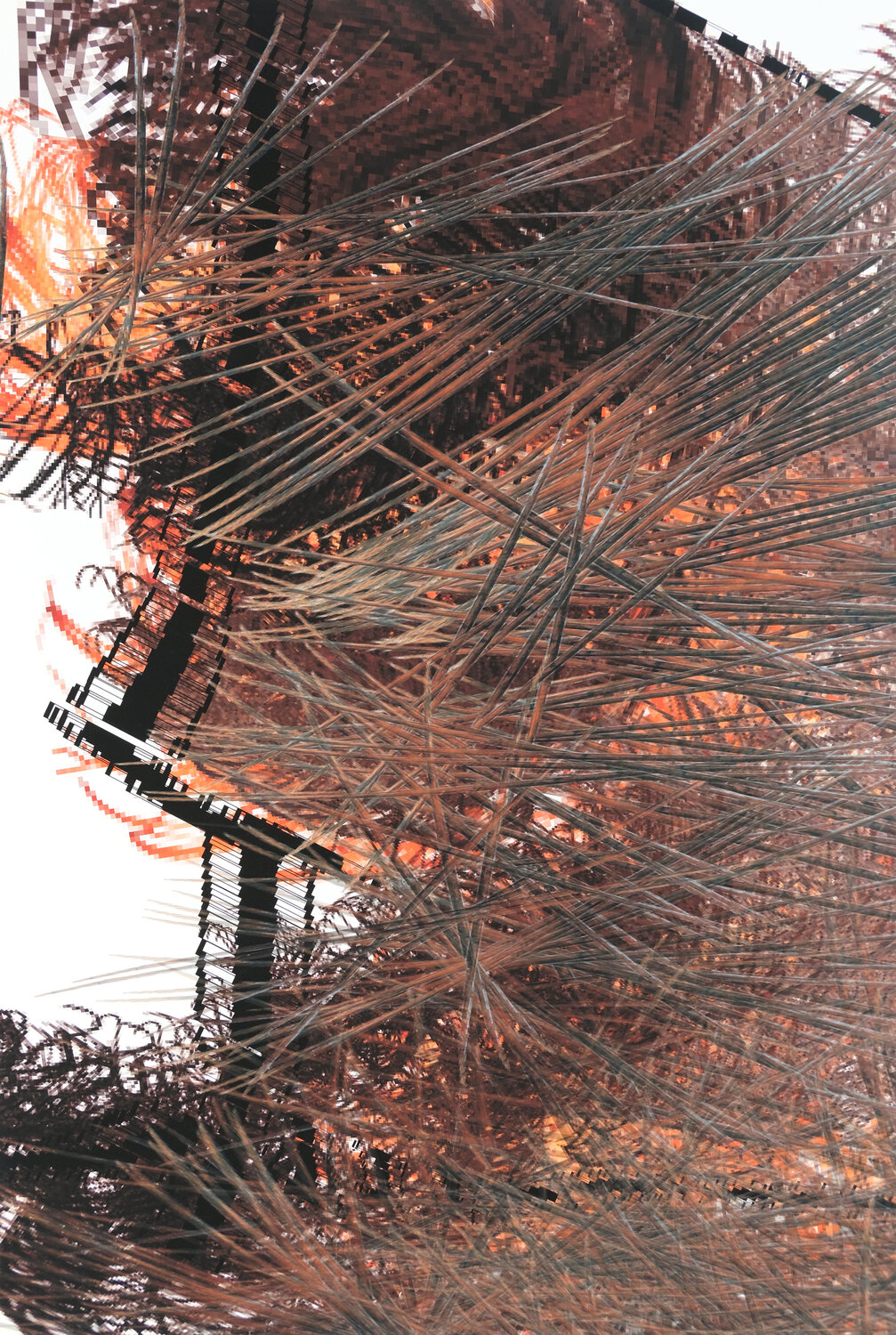 Transit no13 Kathrin Sehl