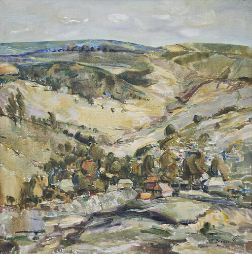 Transparency Florina Breazu