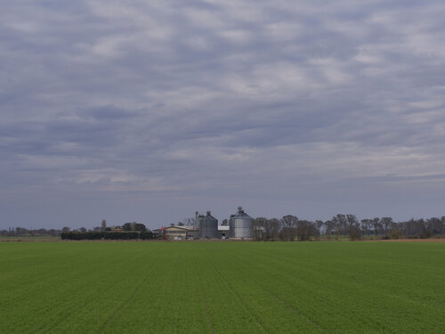 vie del grano van Nicola  Luciani , Fotografie te koop op Singulart