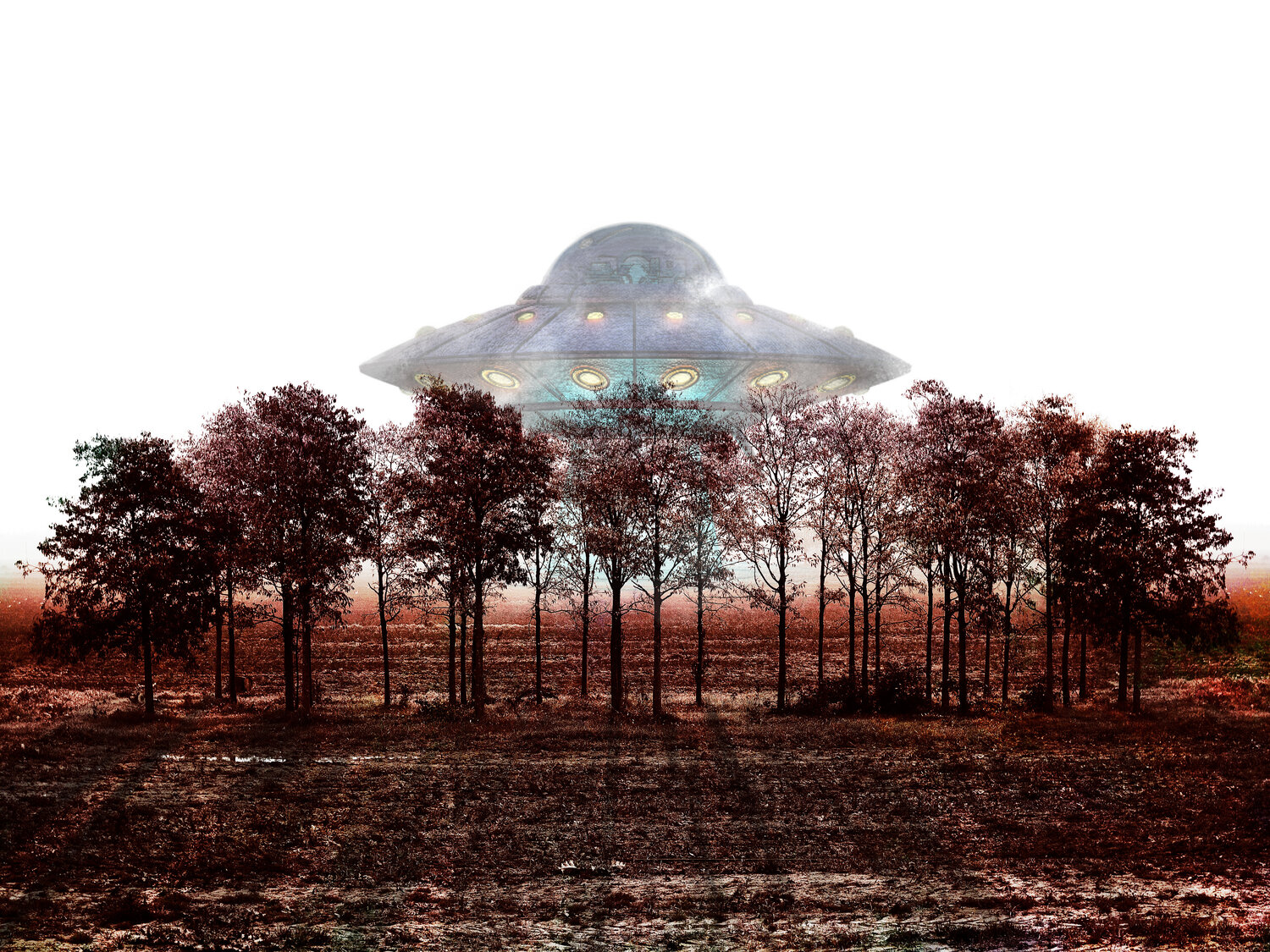 u.f.o Nicola  Luciani 