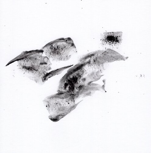 Souffle 5 di Nicolas VASSE, Opera su carta in vendita su Singulart