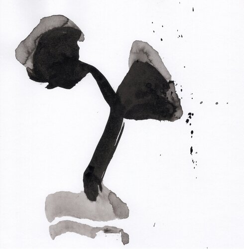 Germination 5 par Nicolas VASSE, Œuvre sur papier en vente sur Singulart