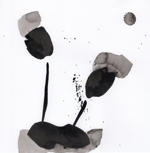 Germination 6 di Nicolas VASSE, Opera su carta in vendita su Singulart