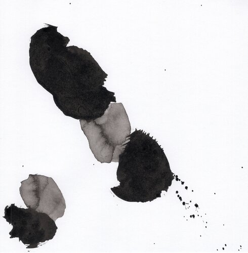 Germination 11 di Nicolas VASSE, Opera su carta in vendita su Singulart