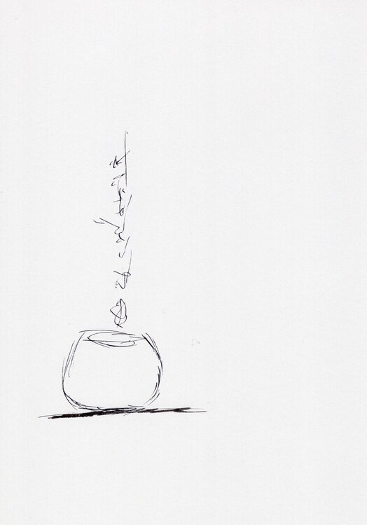 sismologue44 Nicolas VASSE