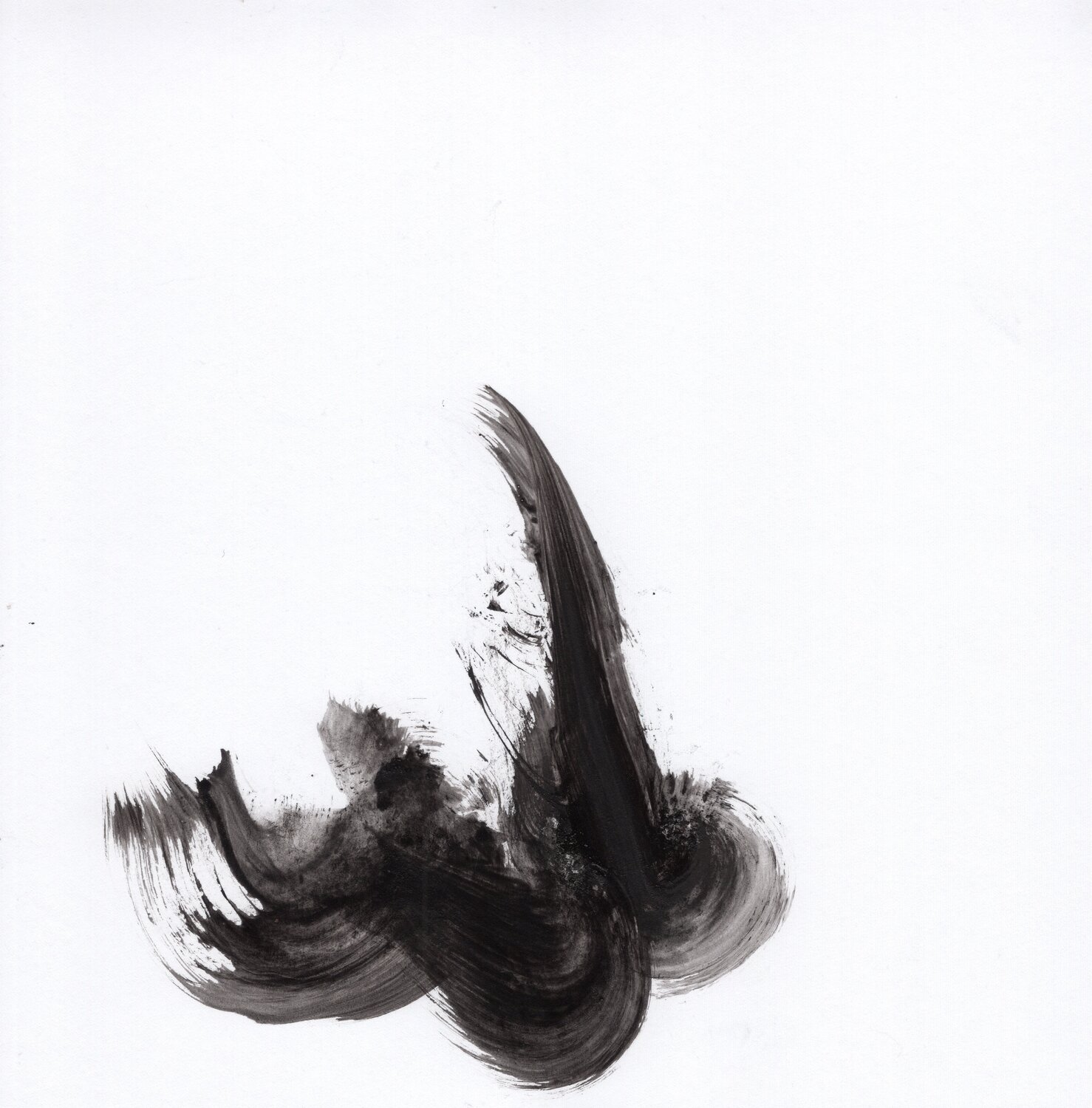 Souffle 49 Nicolas VASSE