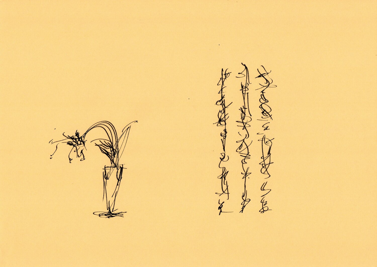 sismologue10 Nicolas VASSE