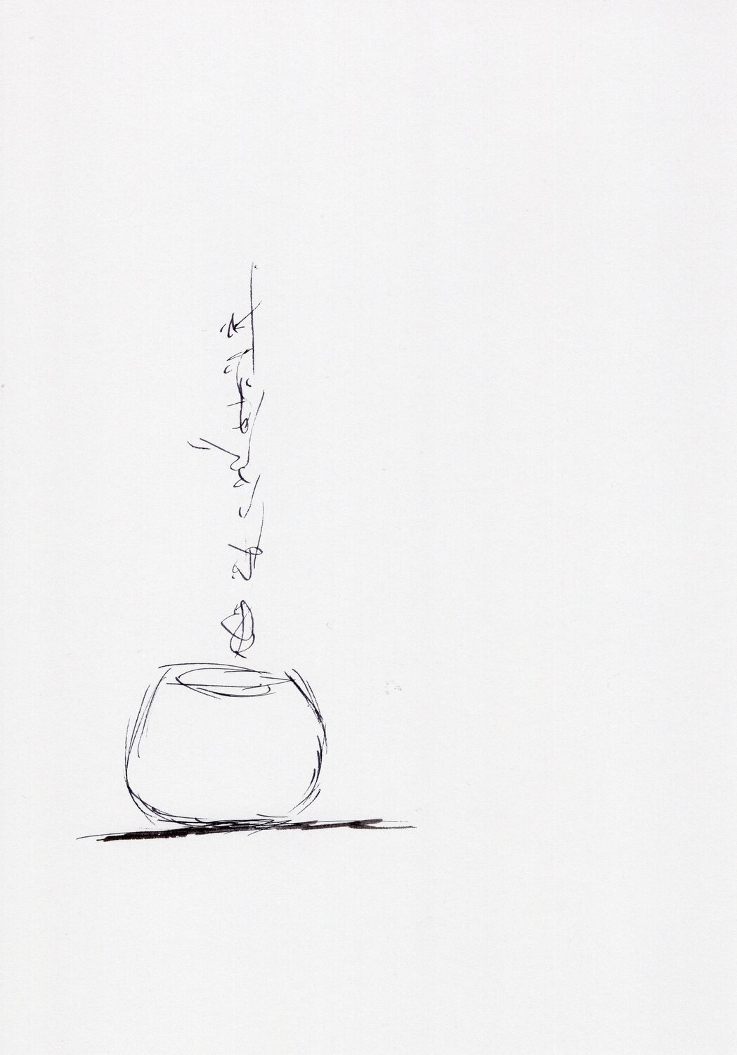 sismologue44 Nicolas VASSE