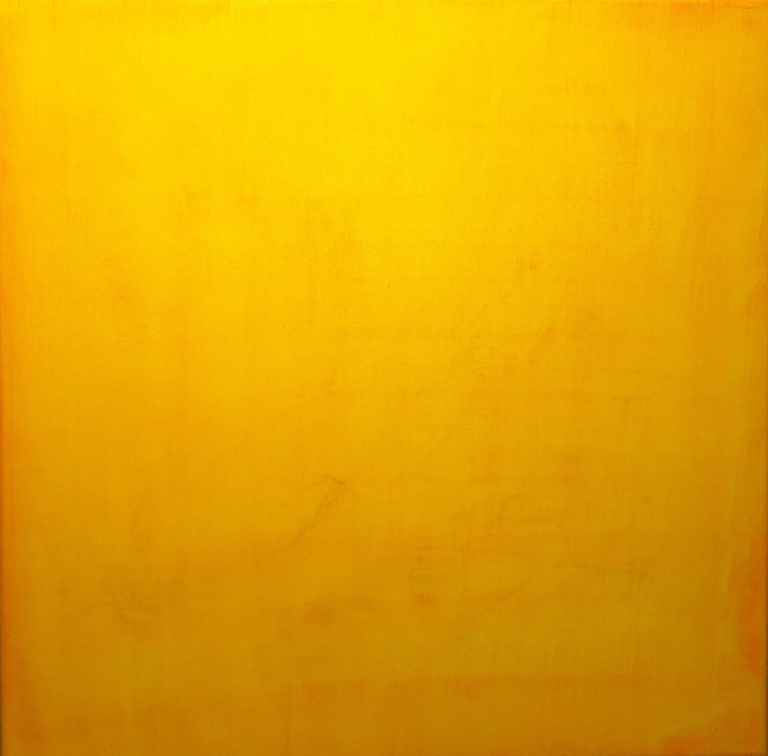 Le Jaune numéro 2 Nicolas VASSE