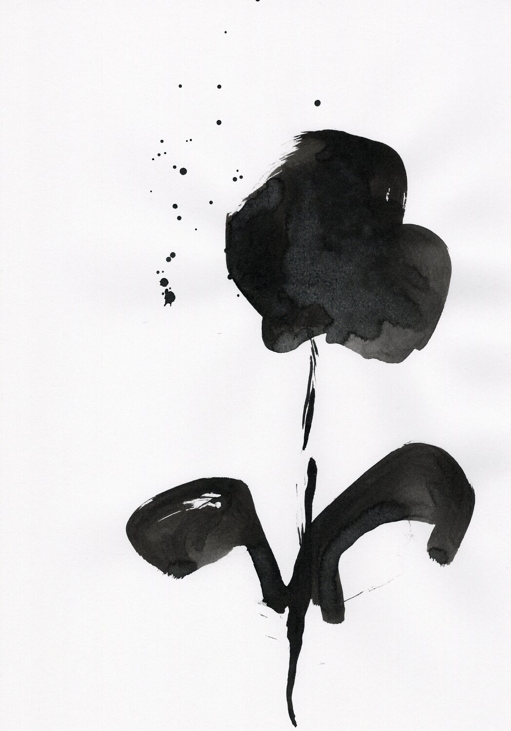 Etude 8 Nicolas VASSE