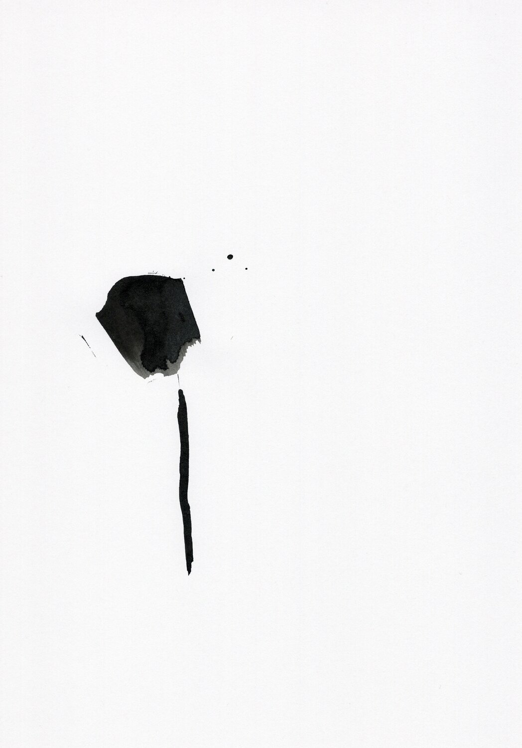 Etude 11 Nicolas VASSE