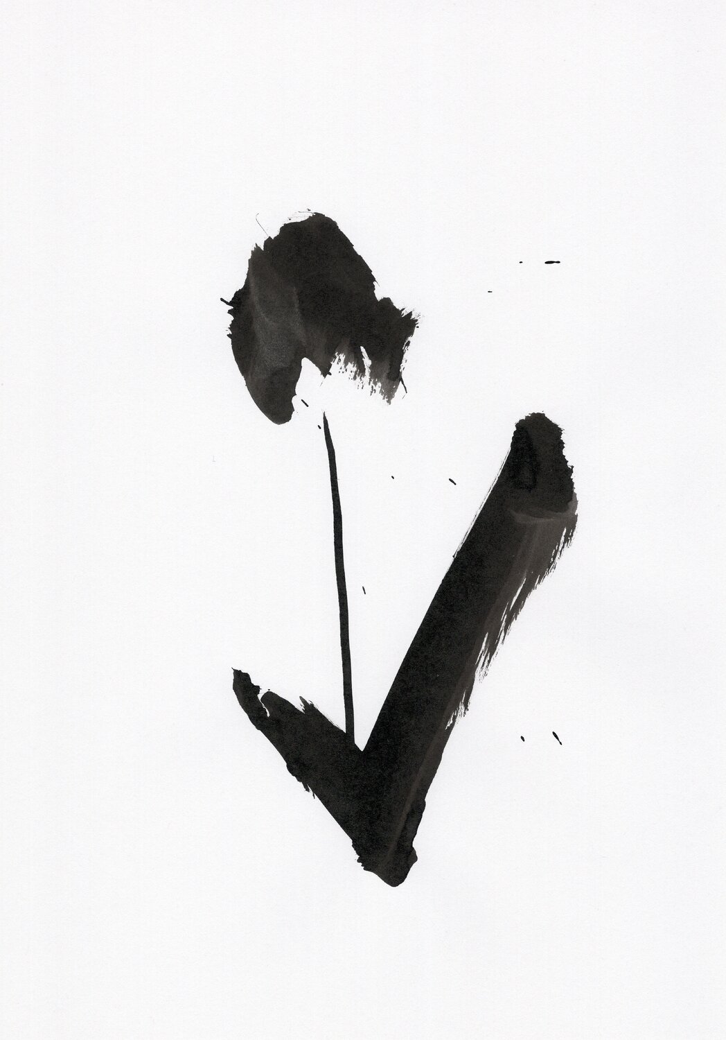 Etude 17 Nicolas VASSE