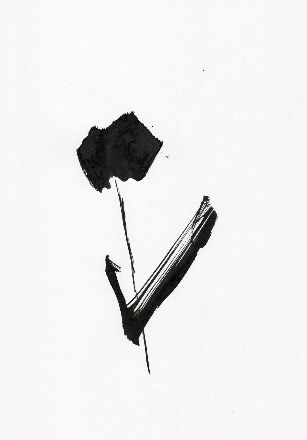 Etude 20 Nicolas VASSE