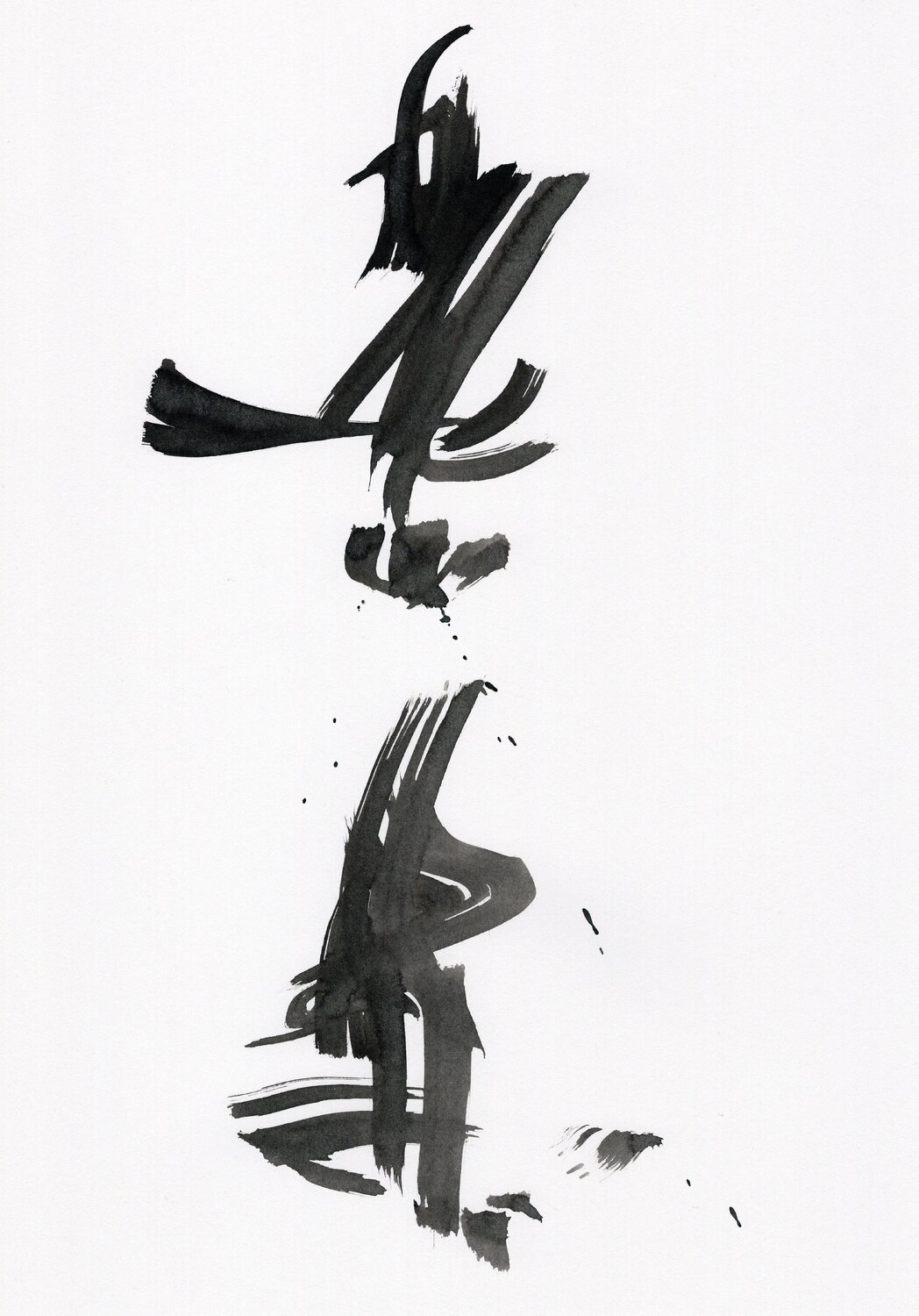 Signes 2 Nicolas VASSE