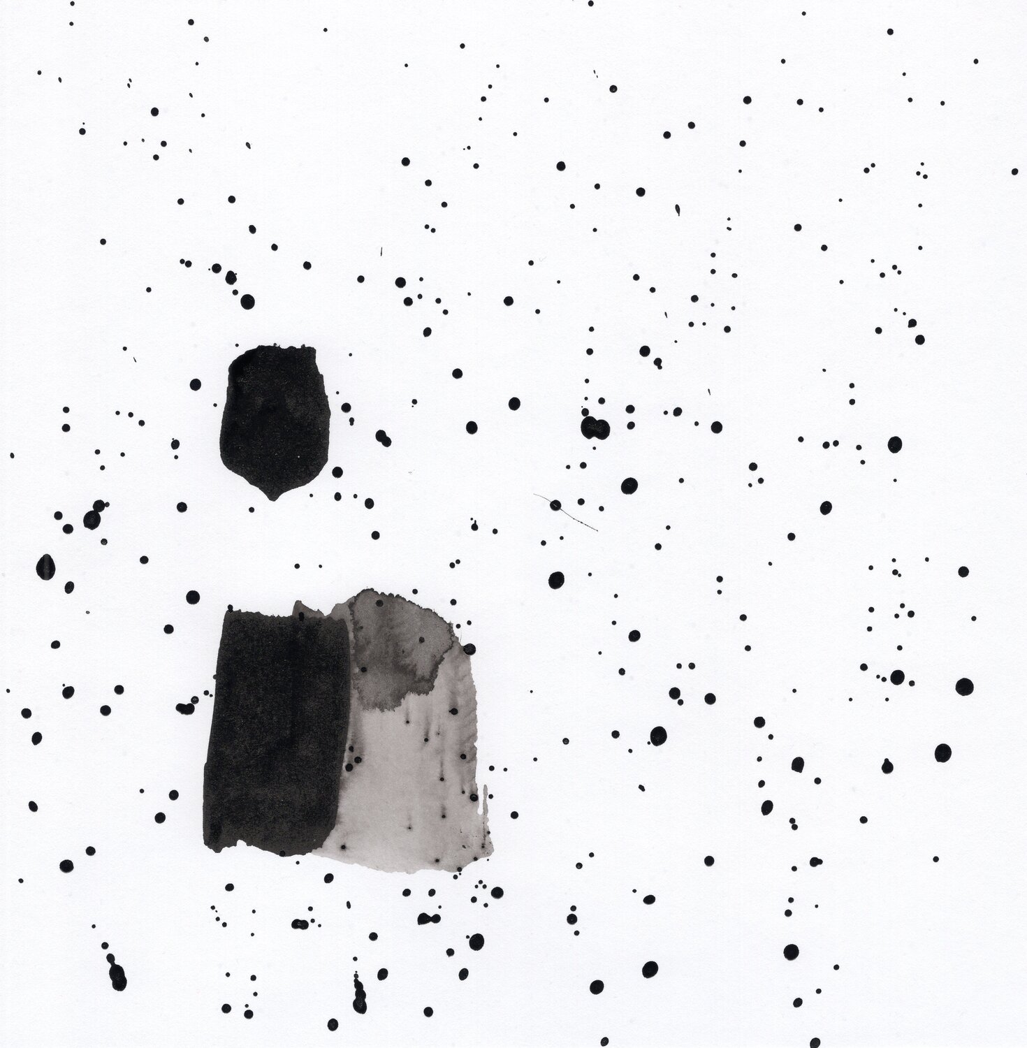 Germination 9 Nicolas VASSE
