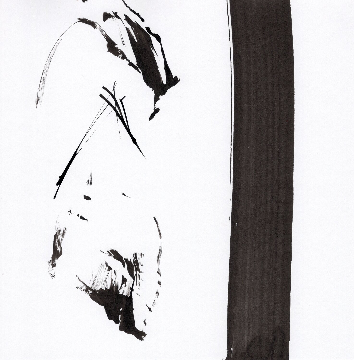 "Instant numéro 5" Nicolas VASSE