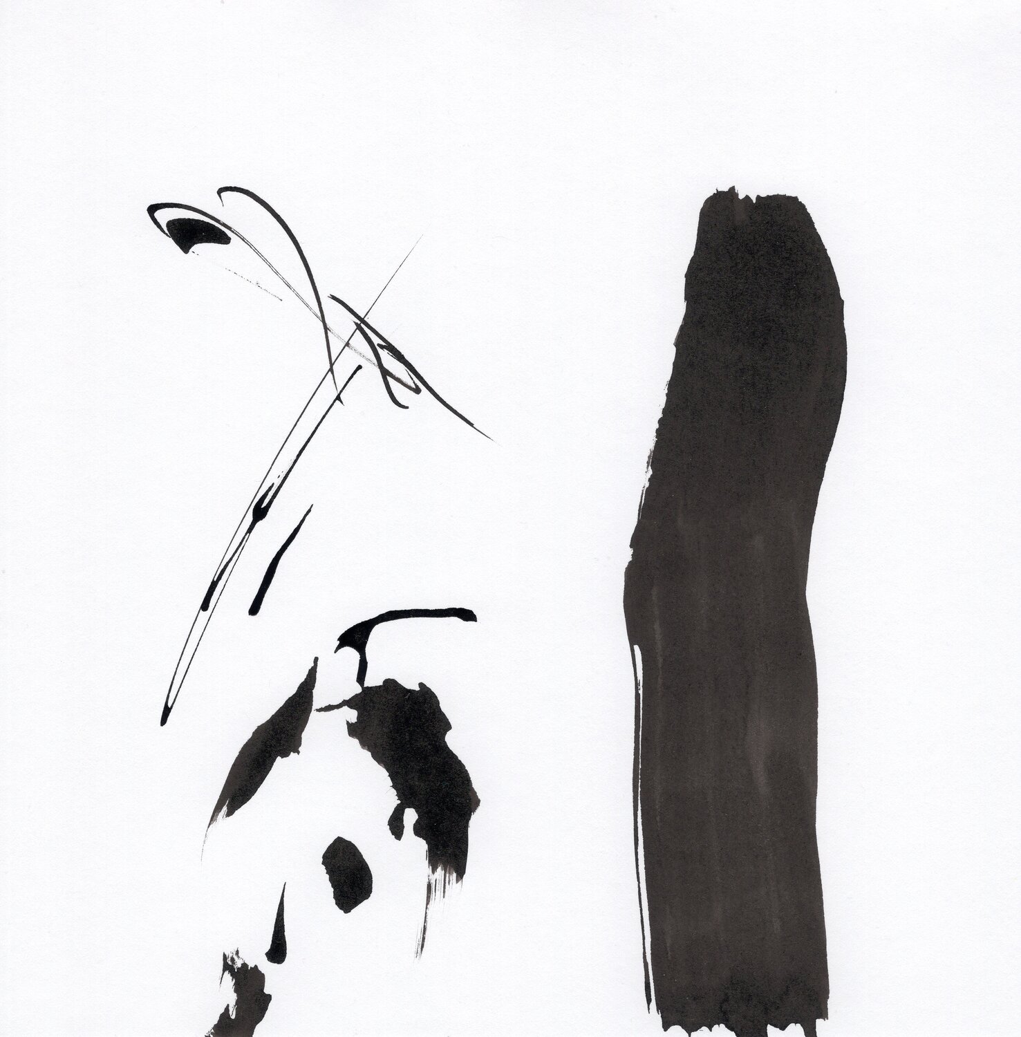 "Instant numéro 11" Nicolas VASSE
