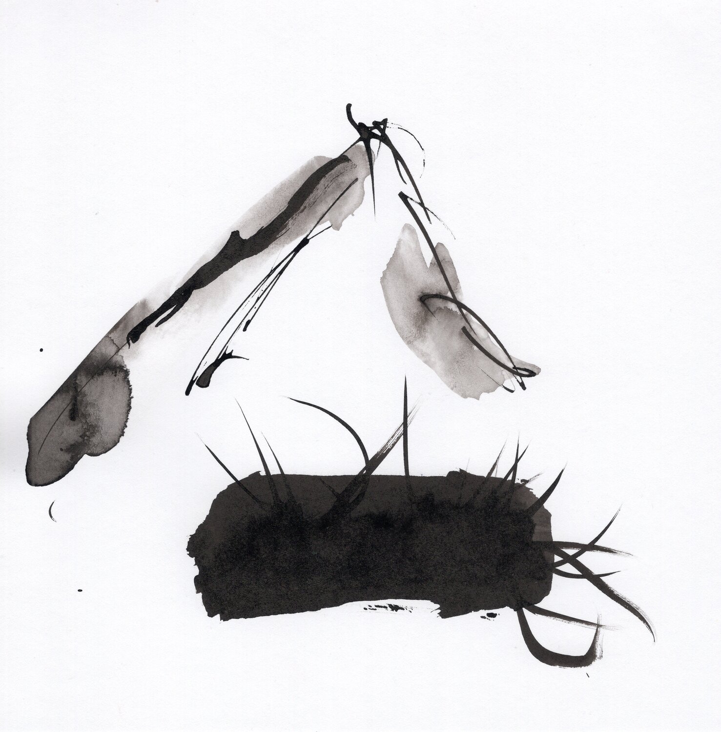 "Instant numéro 12" Nicolas VASSE