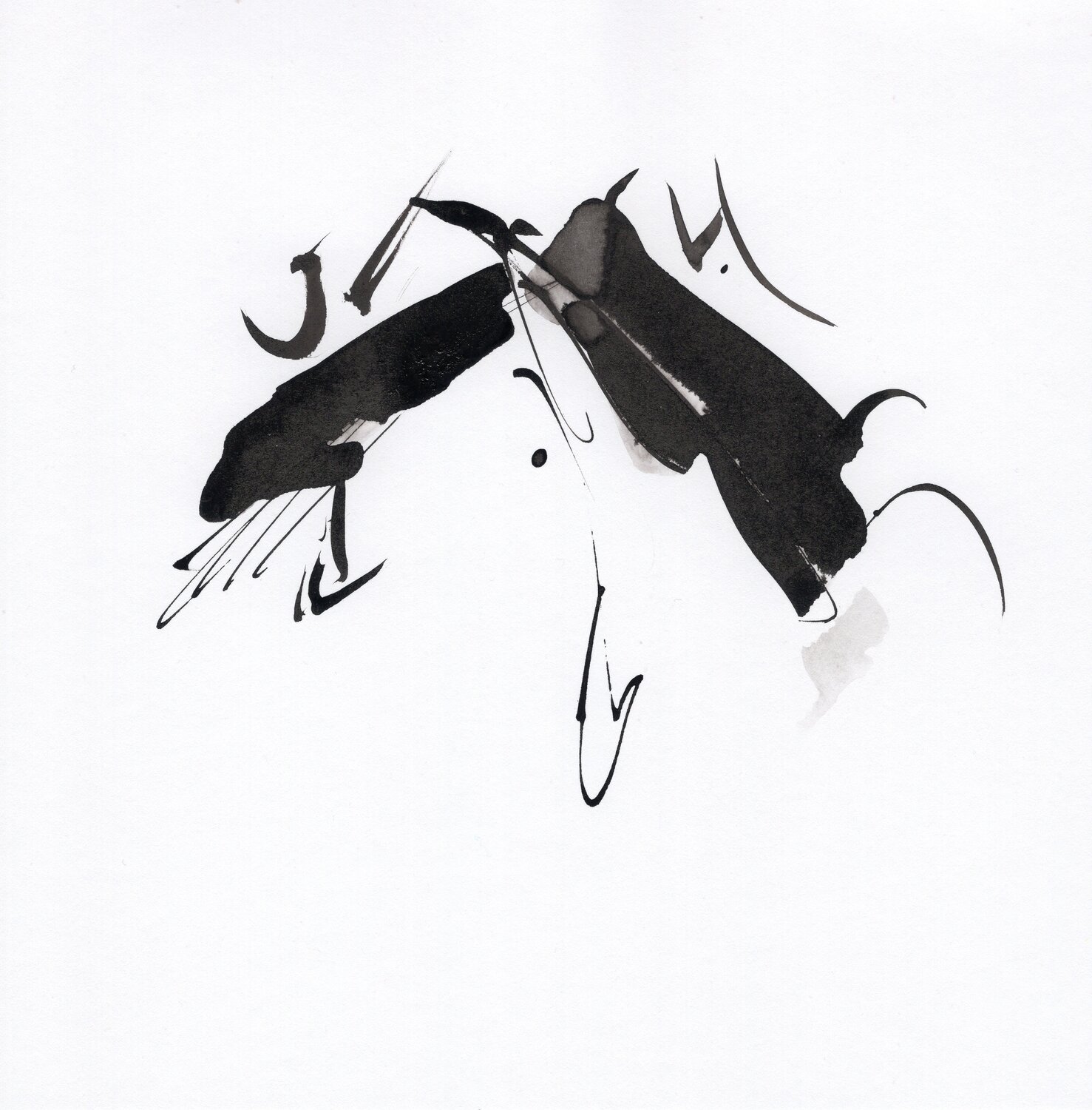 "Instant numéro 13" Nicolas VASSE