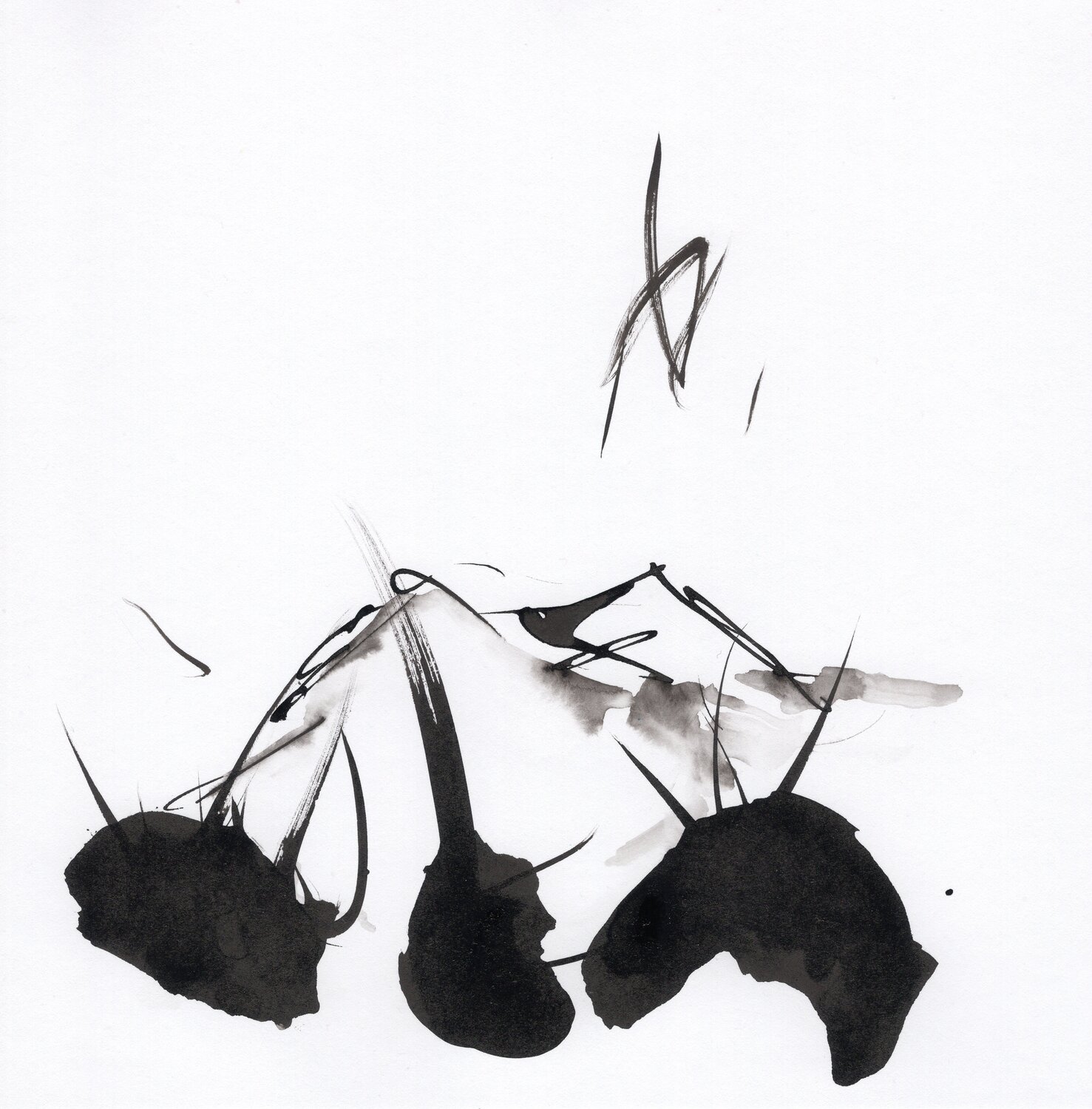 "Instant numéro 15" Nicolas VASSE