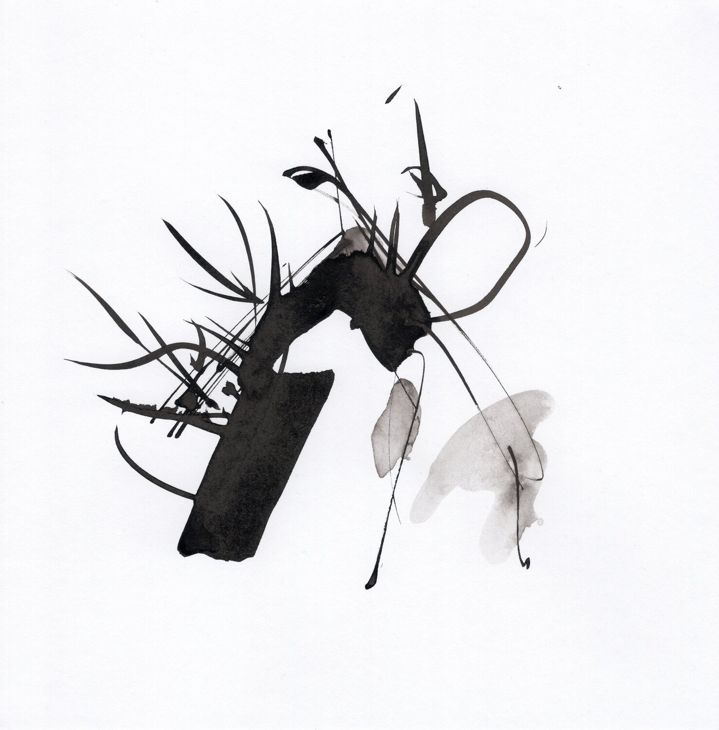 "Instant numéro 17" Nicolas VASSE