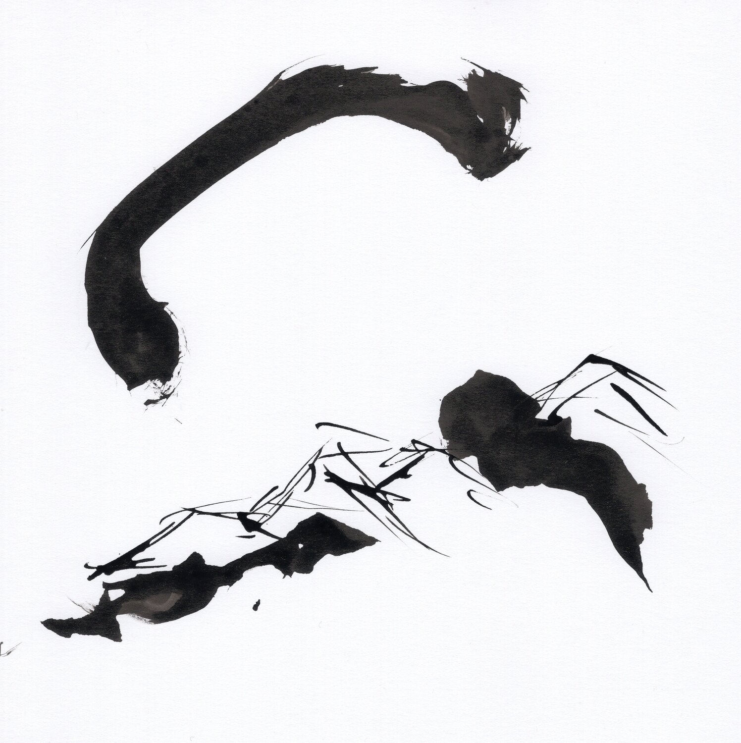 "Instant numéro 21" Nicolas VASSE