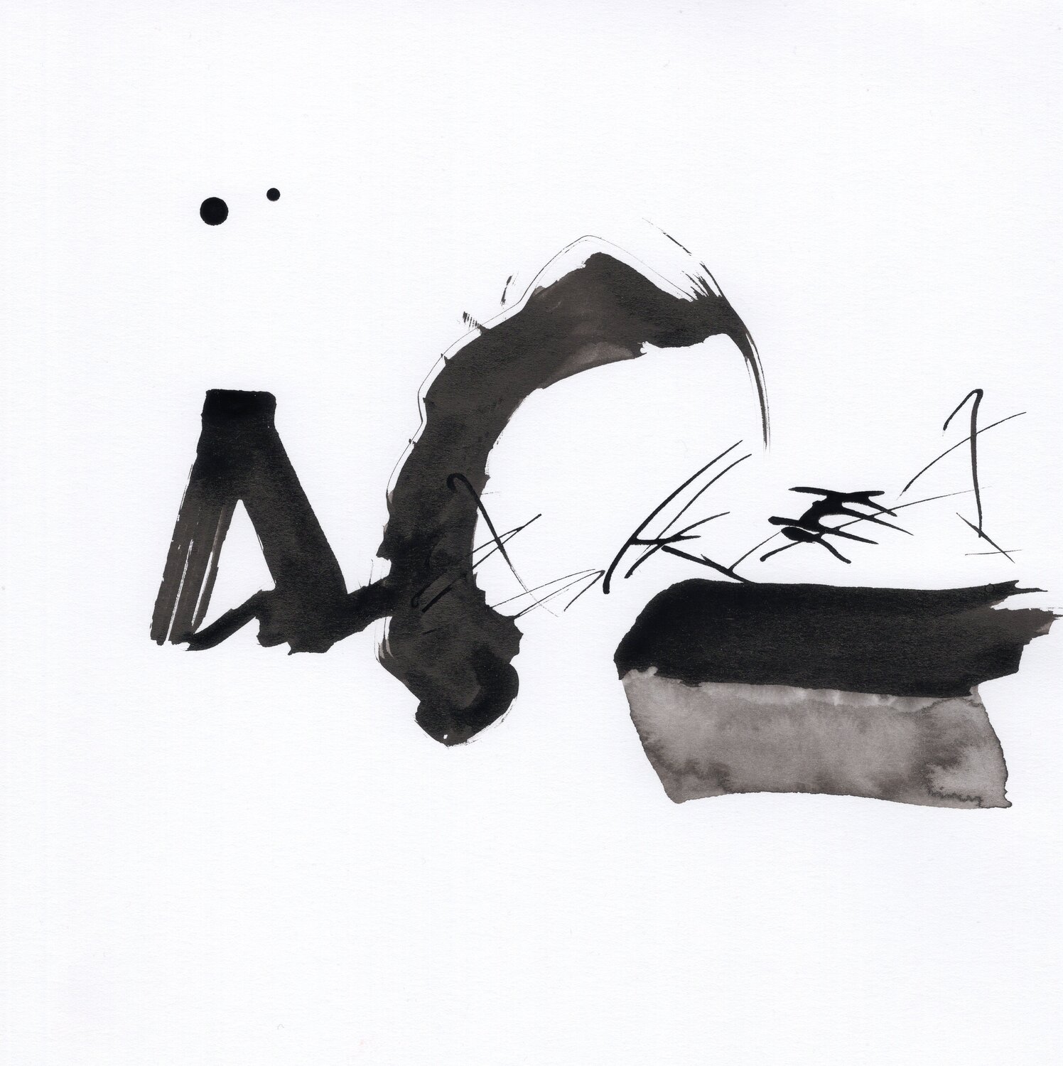 "Instant numéro 24" Nicolas VASSE