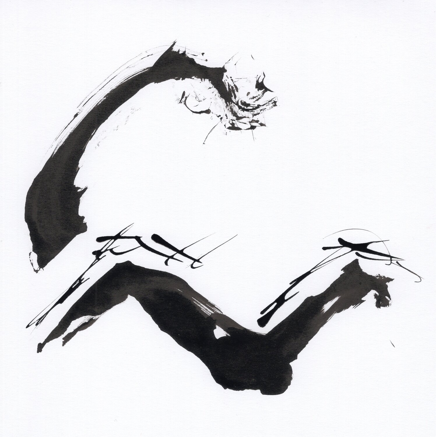 "Instant numéro 25" Nicolas VASSE