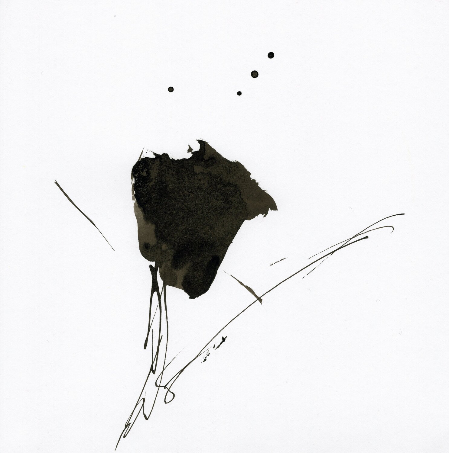"Stellaire 17" Nicolas VASSE