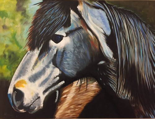 „Wildpferde Sardiniens 1“ Reiner Stening