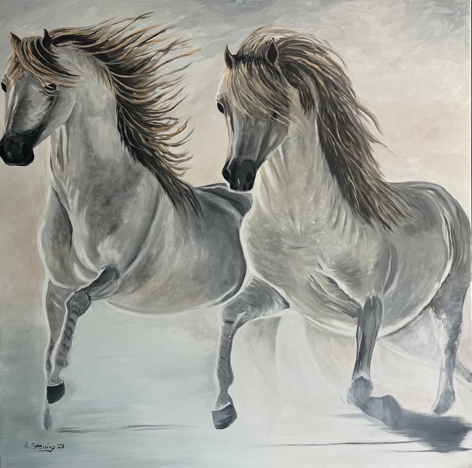 „white horses“ Reiner Stening