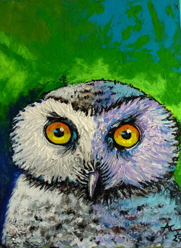 Schneeeule by Johann Acher, Painting for Sale on Singulart