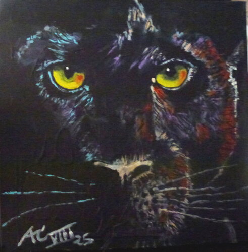 Black Panther van Johann Acher, Schilderij te koop op Singulart