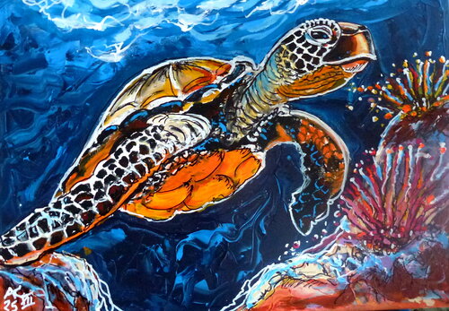 Wasserschildkröte van Johann Acher, Schilderij te koop op Singulart