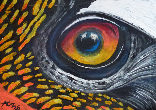 Vogelauge van Johann Acher, Schilderij te koop op Singulart